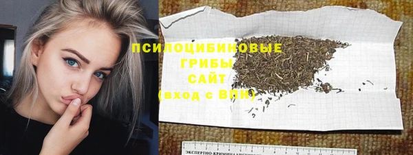 мяу мяу мука Абаза