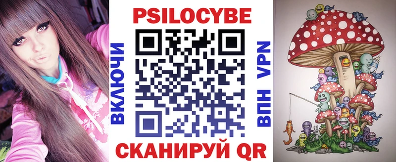 Псилоцибиновые грибы мицелий купить наркоту Агидель